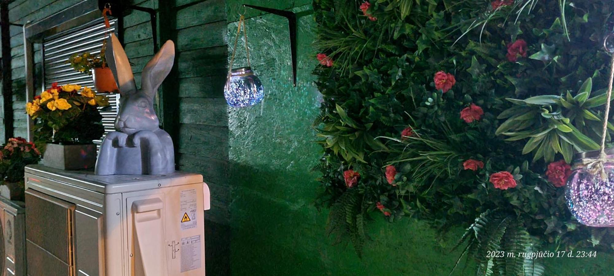 Butas Senamiestyje Vytauto 7-4 Appartement Rokiskis Buitenkant foto